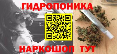 a pvp Ставрополь