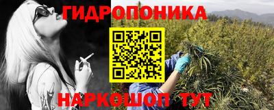прущие грибы Сланцы