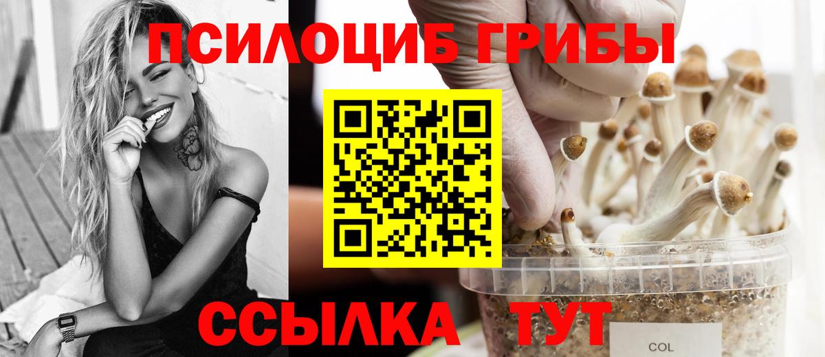 Галлюциногенные грибы GOLDEN TEACHER Надым